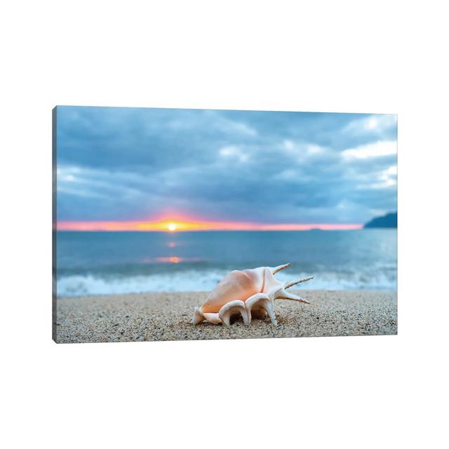 Muschel High Five von Sean Davey - Galerie-verpackte Leinwand Giclée Beachcrest Home Format: Leinwandbild, Größe: 66,04 cm H x 101,6 cm B on Productcaster.