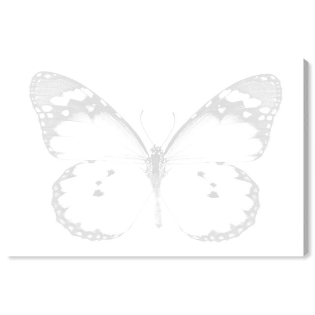 'Blanched Butterfly Minimal' - Wrapped Canvas Graphic Art Print Oliver Gal Size: 38.1 cm H x 25.4 cm W on Productcaster.