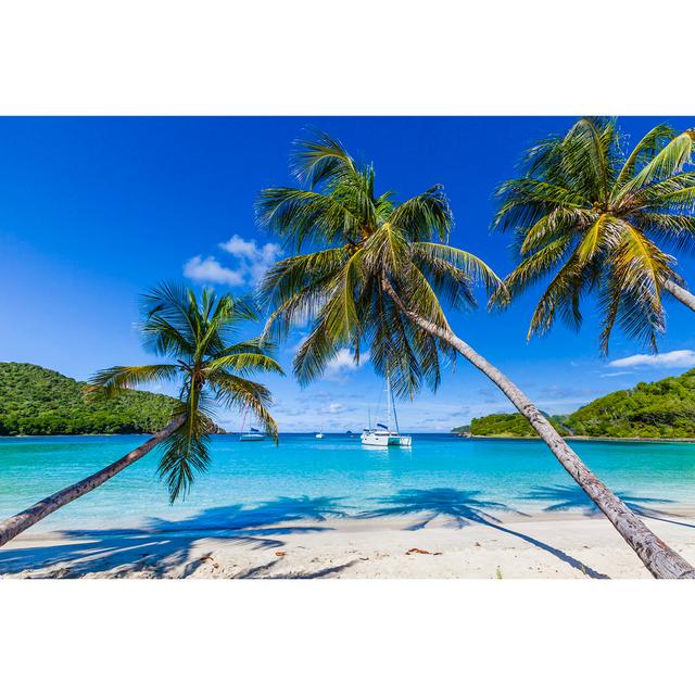 Palm Trees Line Sandy Coastline by Flavio Vallenari - Print 17 Stories Size: 51cm H x 76cm W on Productcaster.