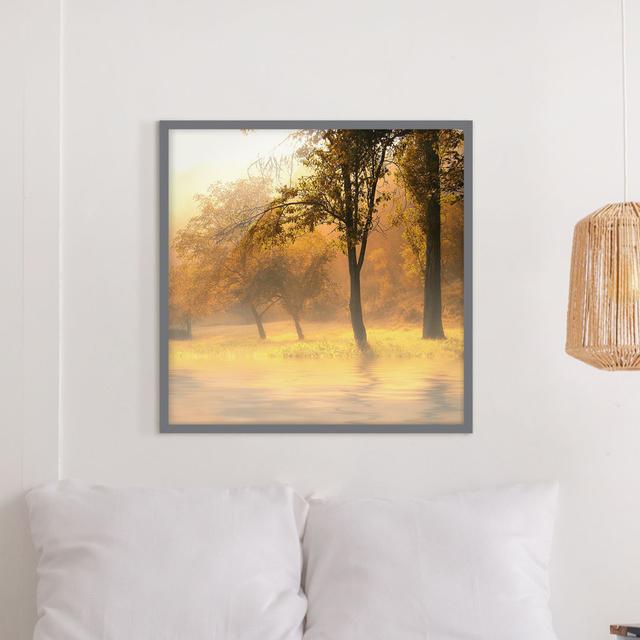 Autumn Morning - Picture Frame Graphic Art Union Rustic Size: 70cm H x 70cm W x 2cm D, Frame Option: Grey Framed on Productcaster.