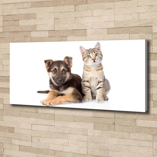 Dog and Cat - Unframed Art Prints on Canvas Brayden Studio on Productcaster.