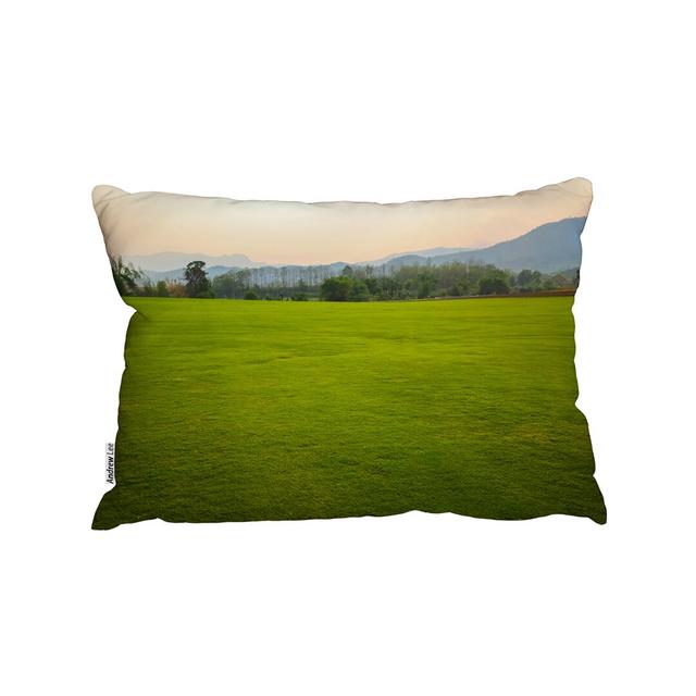 Background Image Of Lush Grass Field Outdoor Cushion Andrew Lee on Productcaster.