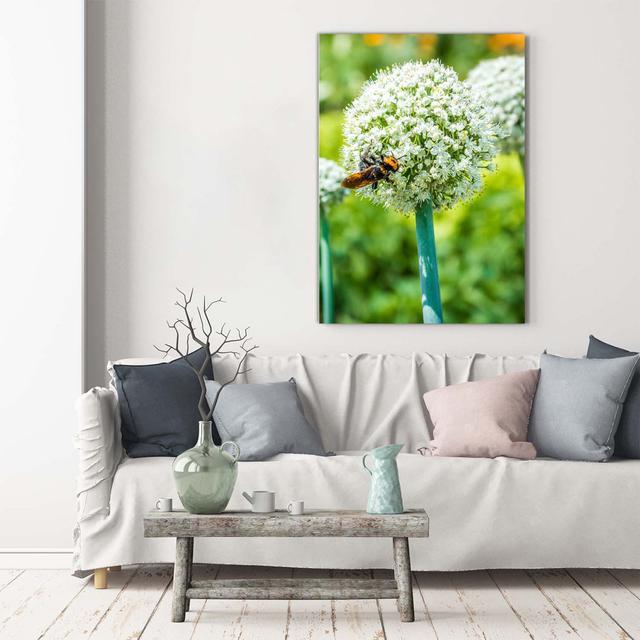 Garlic Flowers - Wrapped Canvas Art Prints August Grove on Productcaster.