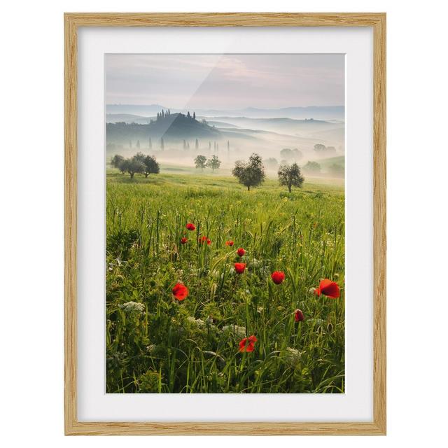 Tuscan Spring Framed Print East Urban Home Frame Options: Natural oak, Size: 55 cm H x 40 cm W on Productcaster.