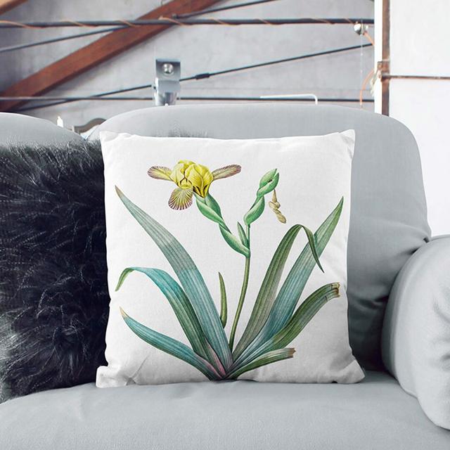 Hungarian Iris Flowers by Pierre-Joseph Redoute Cushion with Filling East Urban Home Size: 40cm H x 40cm W x 15cm D, Backing Colour: Stone on Productcaster.