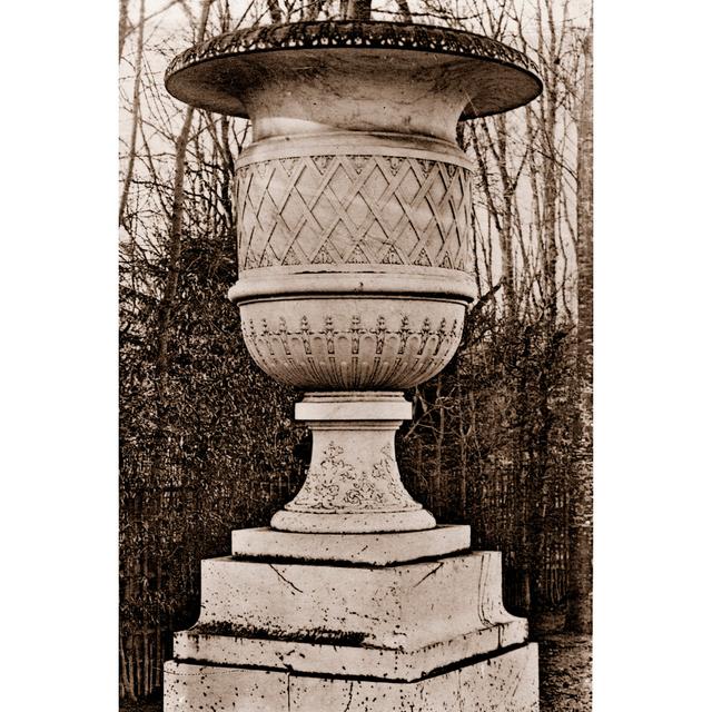 Versailles Urn IV by LeDeley - Wrapped Canvas Art Prints Rosalind Wheeler Size: 30cm H x 20cm W x 3.8cm D on Productcaster.