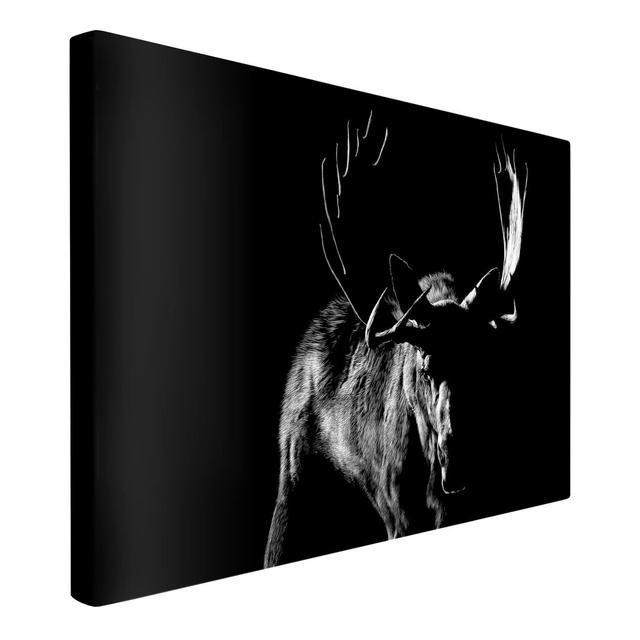 Bull in Front of Black Art Print on Canvas Union Rustic Format: 260g/m² canvas, Size: 60cm H x 90cm W on Productcaster.