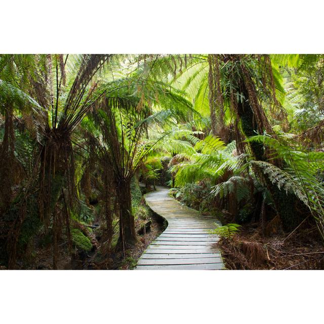 Maits Rest Boardwalk by Macca236 - Wrapped Canvas Print 17 Stories Size: 30cm H x 46cm W on Productcaster.