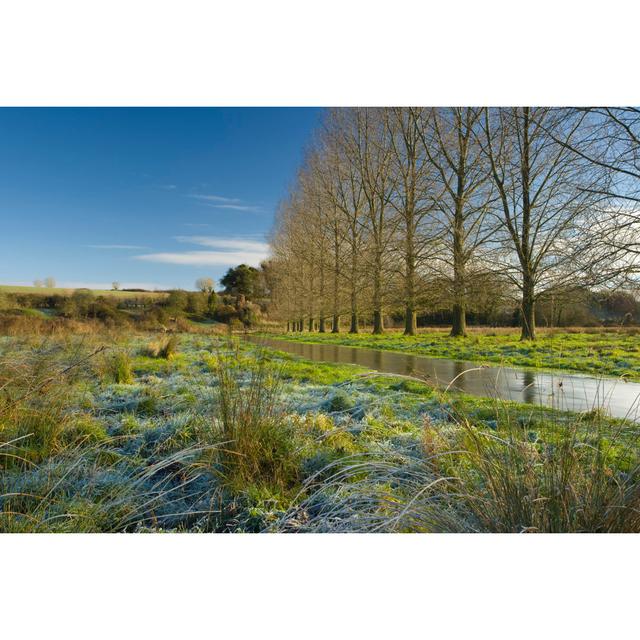 Cranborne Chase Stream by Antonyspencer - No Frame Art Prints on Canvas 17 Stories Size: 30cm H x 46cm W on Productcaster.