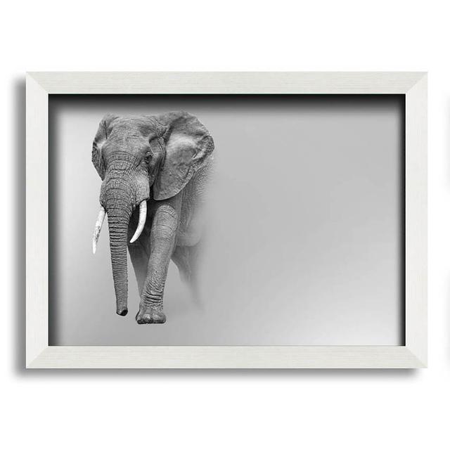 Boutell Elephant in the Mist - Single Picture Frame Art Prints Latitude Run Size: 59.7cm H x 84.1cm W x 10cm D on Productcaster.