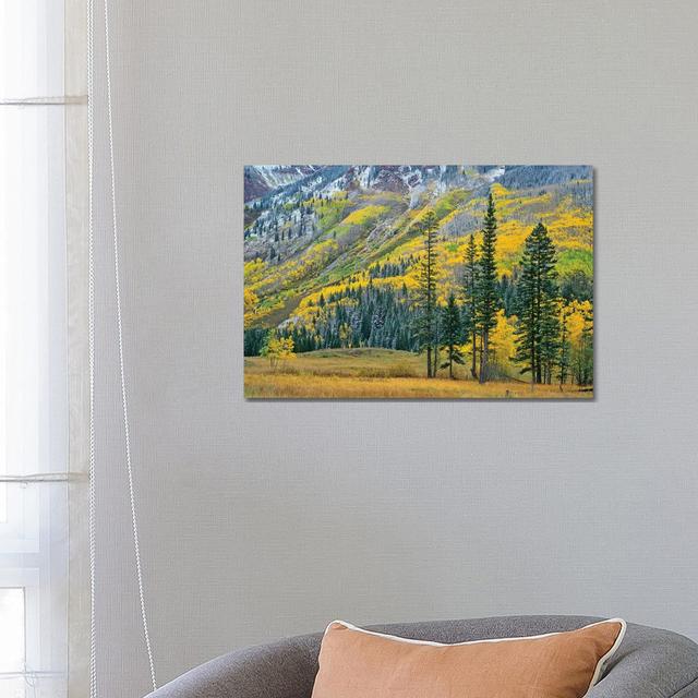 Quaking Aspen Grove In Fall Colours, Maroon Bells, Snowmass Wilderness, Colorado II by Tim Fitzharris - Wrapped Canvas Print Alpen Home Size: 45.72cm on Productcaster.