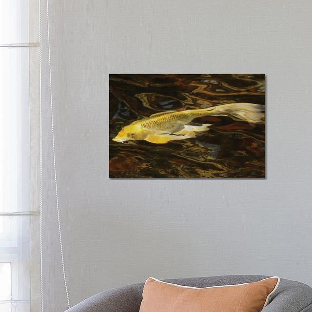 Fancy Koi - Abstract by Brian Wolf - Wrapped Canvas Art Prints Bay Isle Home on Productcaster.