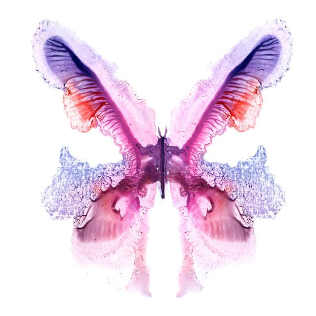 Violet Painted Butterfly by Pobytov - Wrapped Canvas Art Prints Brambly Cottage Size: 76cm H x 76cm W x 3.8cm D on Productcaster.