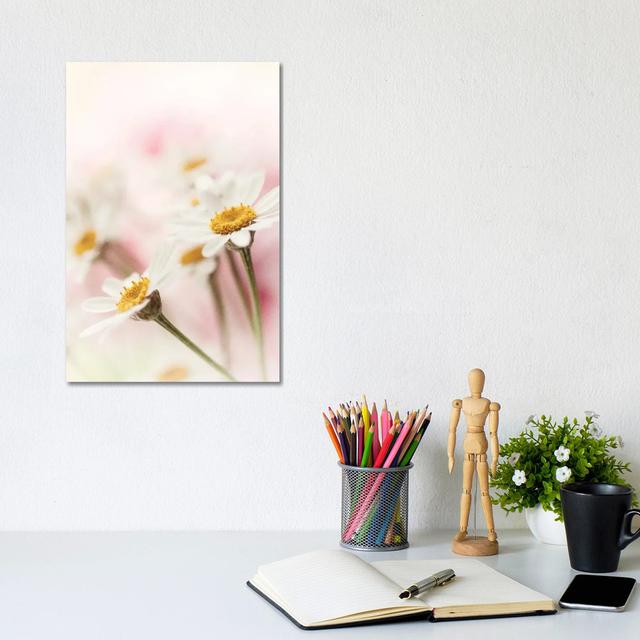 Flowers Aglow III by Judy Stalus - Gallery-Wrapped Canvas Giclée on Canvas Ebern Designs Size: 30.48cm H x 20.32cm W x 1.91cm D, Format: Canvas on Productcaster.