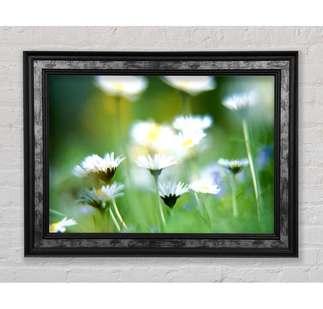 Blurry Daisies - Print Bright Star Size: 21cm H x 42cm W x 8cm D on Productcaster.