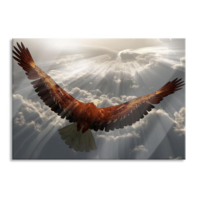 Eagle Above the Clouds - Unframed Photograph on Glass Union Rustic Size: 70cm H x 100cm W x 0.4cm D on Productcaster.