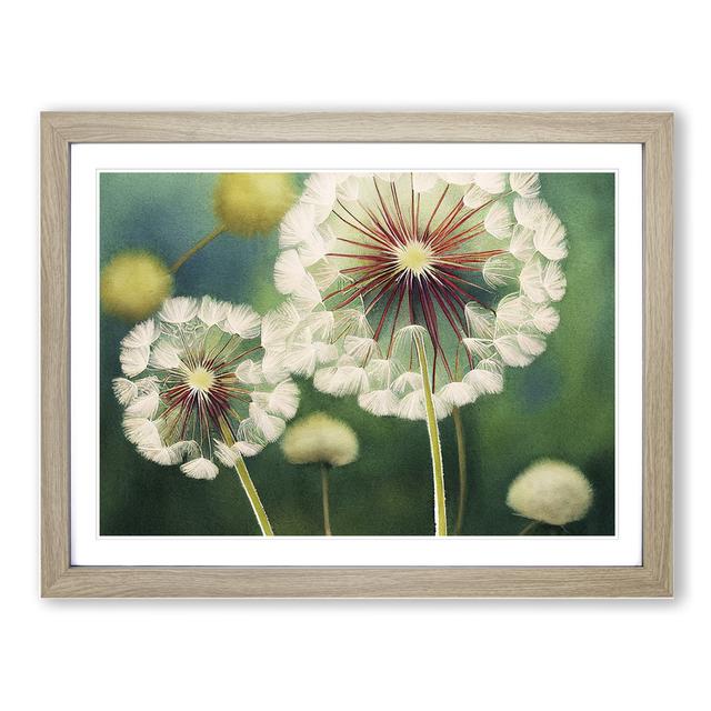 Glowing Dandelion Flowers - Single Picture Frame Print ClassicLiving on Productcaster.