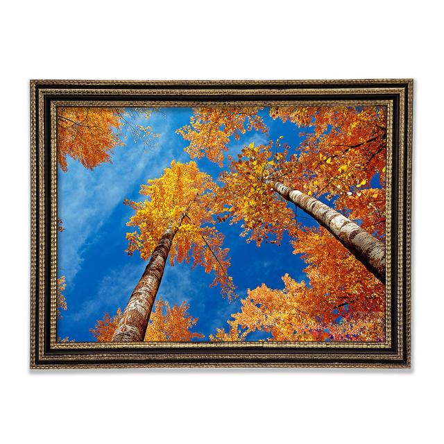 High Above The Tree Tops Framed Print Highland Dunes Size: 42cm H x 59.7cm W x 3cm D on Productcaster.