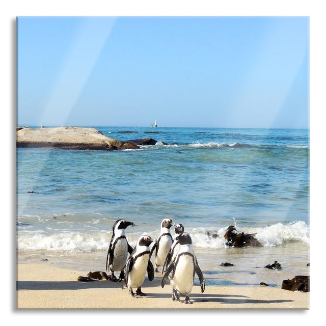 Penguins on the Beach - Unframed Photograph on Glass Highland Dunes Size: 80cm H x 80cm W x 0.4cm D on Productcaster.