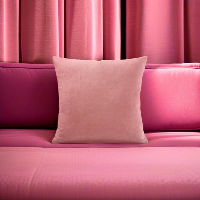 Nalaiyah Velvet Chenille Scatter Cushion Cover with Filler Pad Ebern Designs Size: 45cm x 45cm, Colour: Blush on Productcaster.