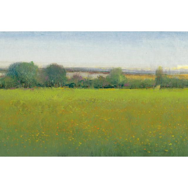 Verdant Countryside II by Tim OToole - Wrapped Canvas Art Prints Rosalind Wheeler Size: 61cm H x 91cm W x 3.8cm D on Productcaster.