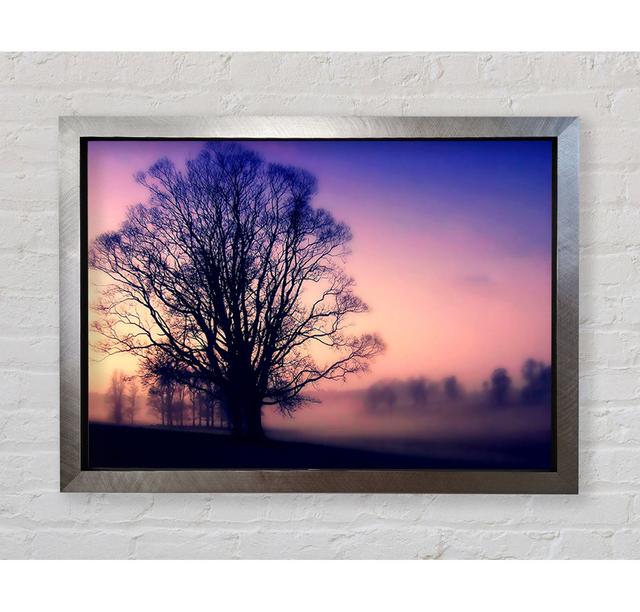 Scots Mist - Single Picture Frame Art Prints Bright Star Size: 59.7cm H x 84.1cm W x 3.4cm D on Productcaster.