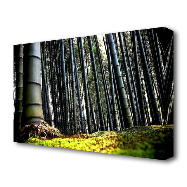 Huge Bamboo Forest Forest Canvas Print Wall Art East Urban Home Size: 66 cm H x 101.6 cm W on Productcaster.