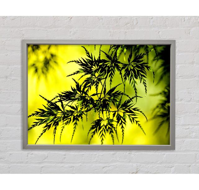 Summer Tree Leaves Framed Print Bright Star Size: 59.1cm H x 84.1cm W x 3.3cm D on Productcaster.