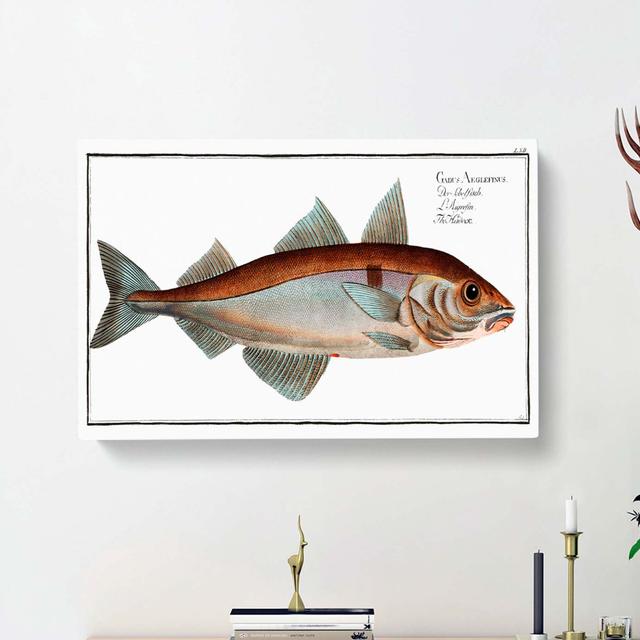 Haddock Fish by M.E. Bloch - Wrapped Canvas Painting Print East Urban Home Size: 35cm H x 50cm W x 3cm D on Productcaster.