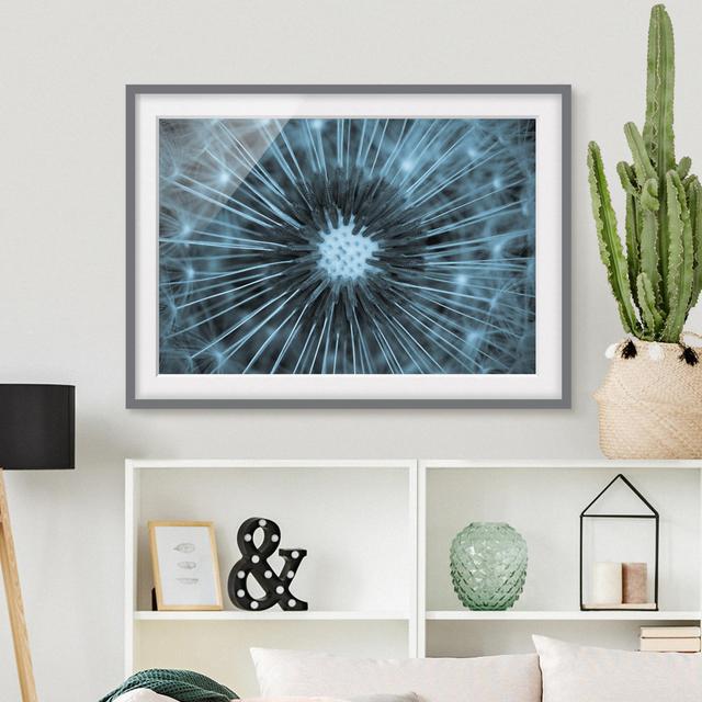 Blue Tinted Dandelion - Picture Frame Photograph Rosalind Wheeler Size: 50cm H x 70cm W x 2cm D, Frame Option: Grey Framed on Productcaster.