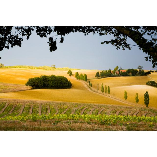 Autumn In Gascogny Countryside - Wrapped Canvas Print 17 Stories Size: 30cm H x 46cm W on Productcaster.