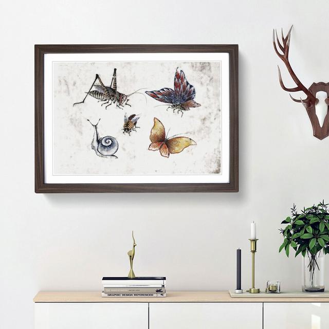 Insects Vol.1 by Katsushika Hokusai - Picture Frame Painting Print East Urban Home Frame Option: Walnut Framed, Size: 48cm H x 65cm W x 2cm D on Productcaster.