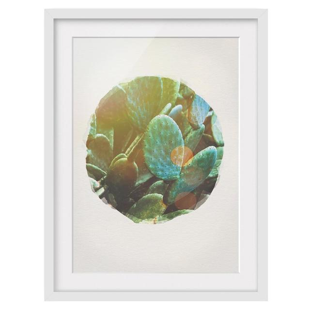 Prickly Pear - Picture Frame Graphic Art Gracie Oaks Size: 55cm H x 40cm W x 2cm D, Frame Option: White Framed on Productcaster.