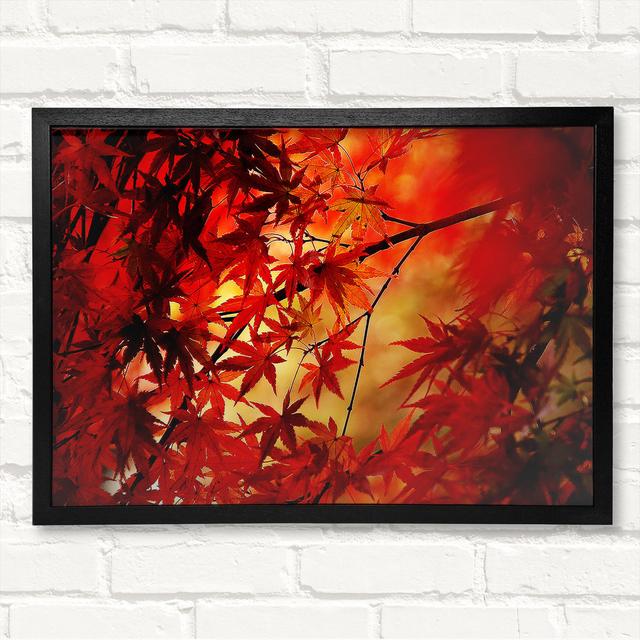 Red Leaves In Winter - Single Picture Frame Art Prints Union Rustic Size: 42cm H x 59.7cm W x 3cm D, Format: Black Framed Wood on Productcaster.