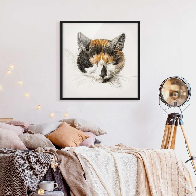 Vintage Drawing Cat IV - Picture Frame Painting Rosalind Wheeler Size: 70cm H x 70cm W x 2cm D, Frame Option: Black on Productcaster.