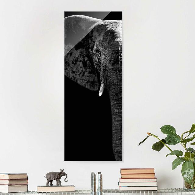 Glasbild African Elephant East Urban Home Größe: 100 cm H x 40 cm B x 0,4 cm T on Productcaster.