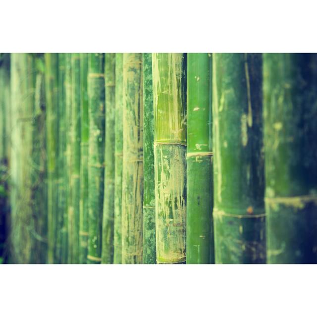 Bamboo Texture by Bluehousestudio - Wrapped Canvas Print 17 Stories Size: 20cm H x 30cm W on Productcaster.