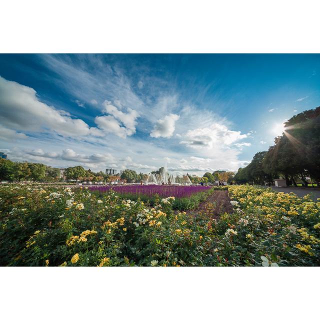 Peringer View Of Gorky Park by MikeLaptev - Wrapped Canvas Photograph Latitude Run Size: 20cm H x 30cm W x 3.8cm D on Productcaster.