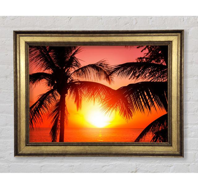 Single Picture Frame Art Prints Bright Star Size: 84.1cm H x 142.2cm W x 8cm D on Productcaster.