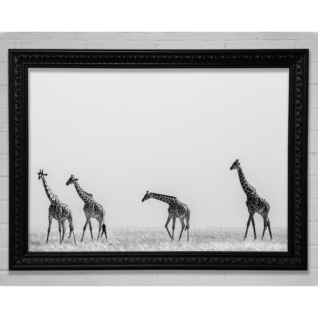 Giraffe Safari Lineup - Single Picture Frame Art Prints Bright Star Size: 84.1cm H x 118.9cm W on Productcaster.