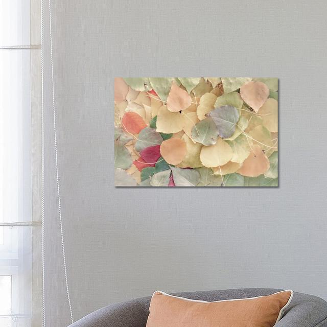 Fallen Leaves Creamy by Nik Rave - Wrapped Canvas Photograph Ophelia & Co. Size: 45.72cm H x 66.04cm W x 3.81cm D on Productcaster.