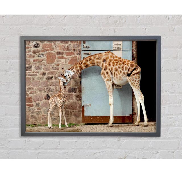 Giraffe Motherly Love Framed Print Latitude Vive Size: 84.1cm H x 118.9cm W on Productcaster.