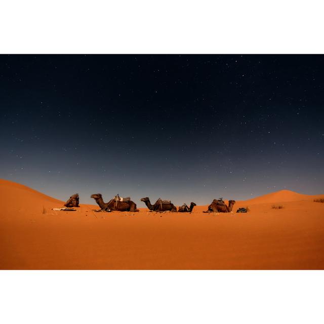 Camels In Merzouga Dunes by Duha127 - Wrapped Canvas Print Natur Pur Size: 81cm H x 122cm W on Productcaster.