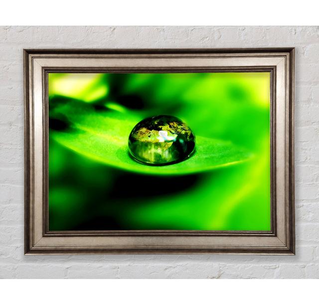 Green Leave Water Droplet - Picture Frame Art Prints Bright Star Size: 29.7cm H x 42cm W on Productcaster.