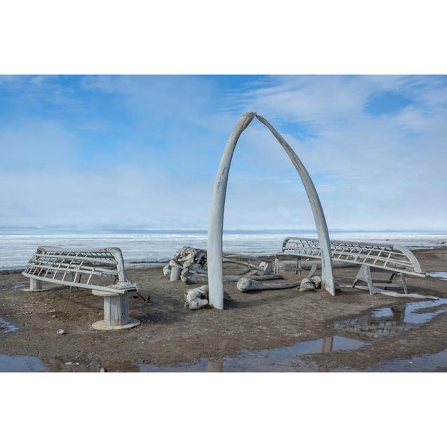 Whale Bone Arch In Barrow, Alaska House of Hampton Size: 81cm H x 122cm W on Productcaster.