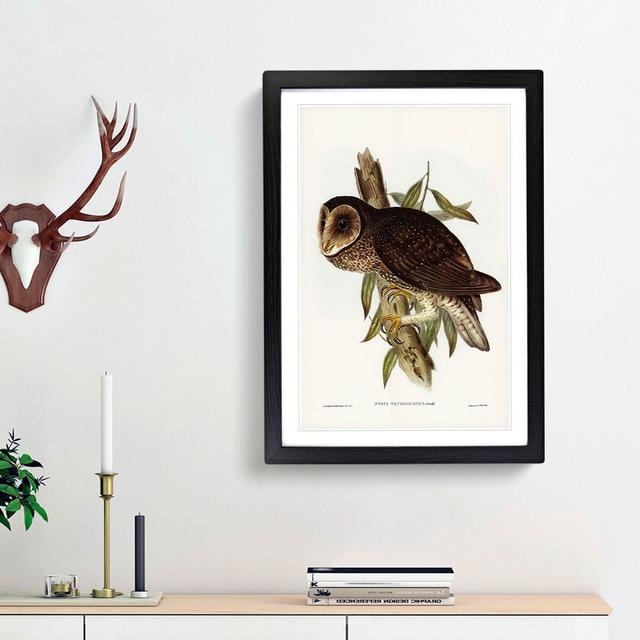 Sooty Owl by Elizabeth Gould - Picture Frame Painting Print East Urban Home Frame Option: Black Framed, Size: 65cm H x 48cm W x 2cm D on Productcaster.