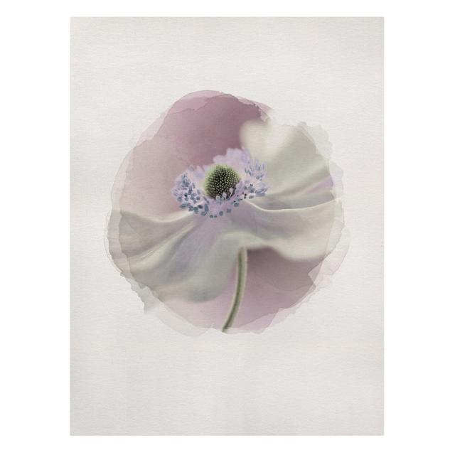 Leinwandbild Watercolor - Anemone Breeze Rosalind Wheeler on Productcaster.