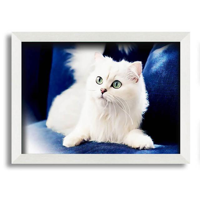 Fluffy White Kitten - Single Picture Frame Art Prints Brayden Studio Size: 59.7cm H x 84.1cm W x 1.5cm D, Format: Matte Black Framed Paper on Productcaster.