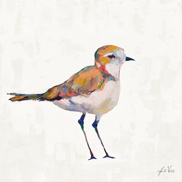 Coastal Plover III Linen Highland Dunes Size: 76cm H x 76cm W on Productcaster.