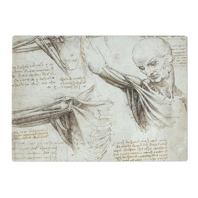 Human Anatomy Vol.3 by Leonardo Da Vinci Chopping Board East Urban Home Size: 0.4cm H x 20cm W x 28.5cm L on Productcaster.